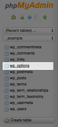 The WordPress options table.