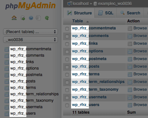 Clean Up Wordpress Meta Data